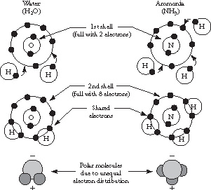 Formation of a covalent bond in water and ammonia molecules. In each molecule, the second shell fills with eight electrons.