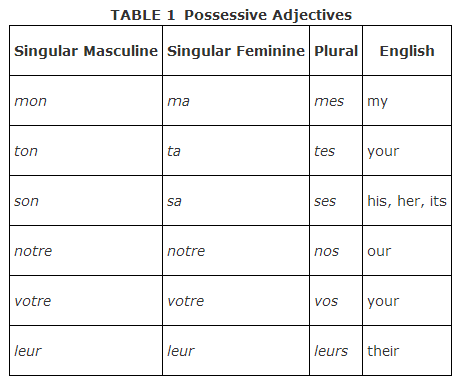 Posseive adjectives